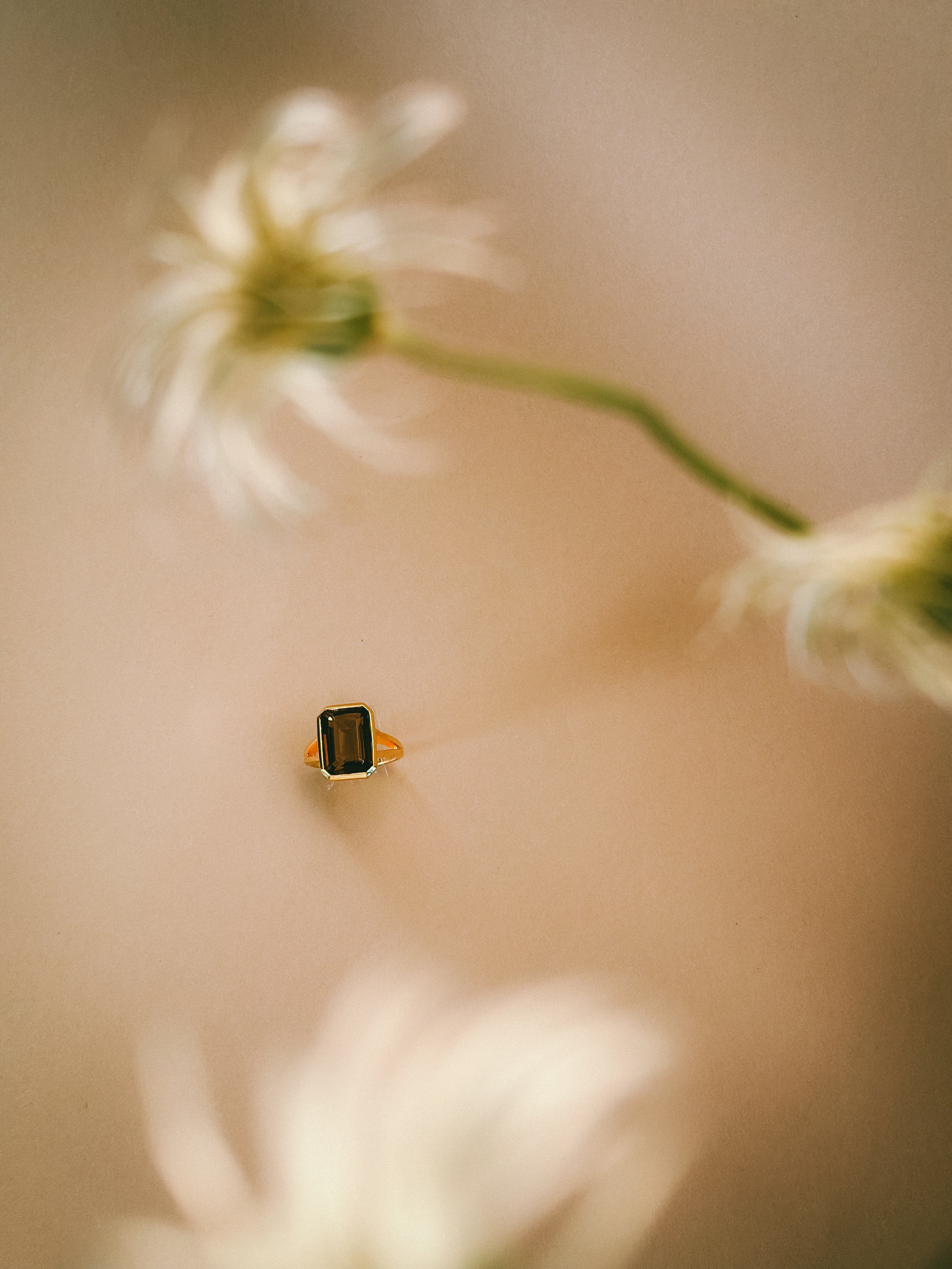 I am Grounded - Emerald cut Amethyst/Smokey Quartz 18K