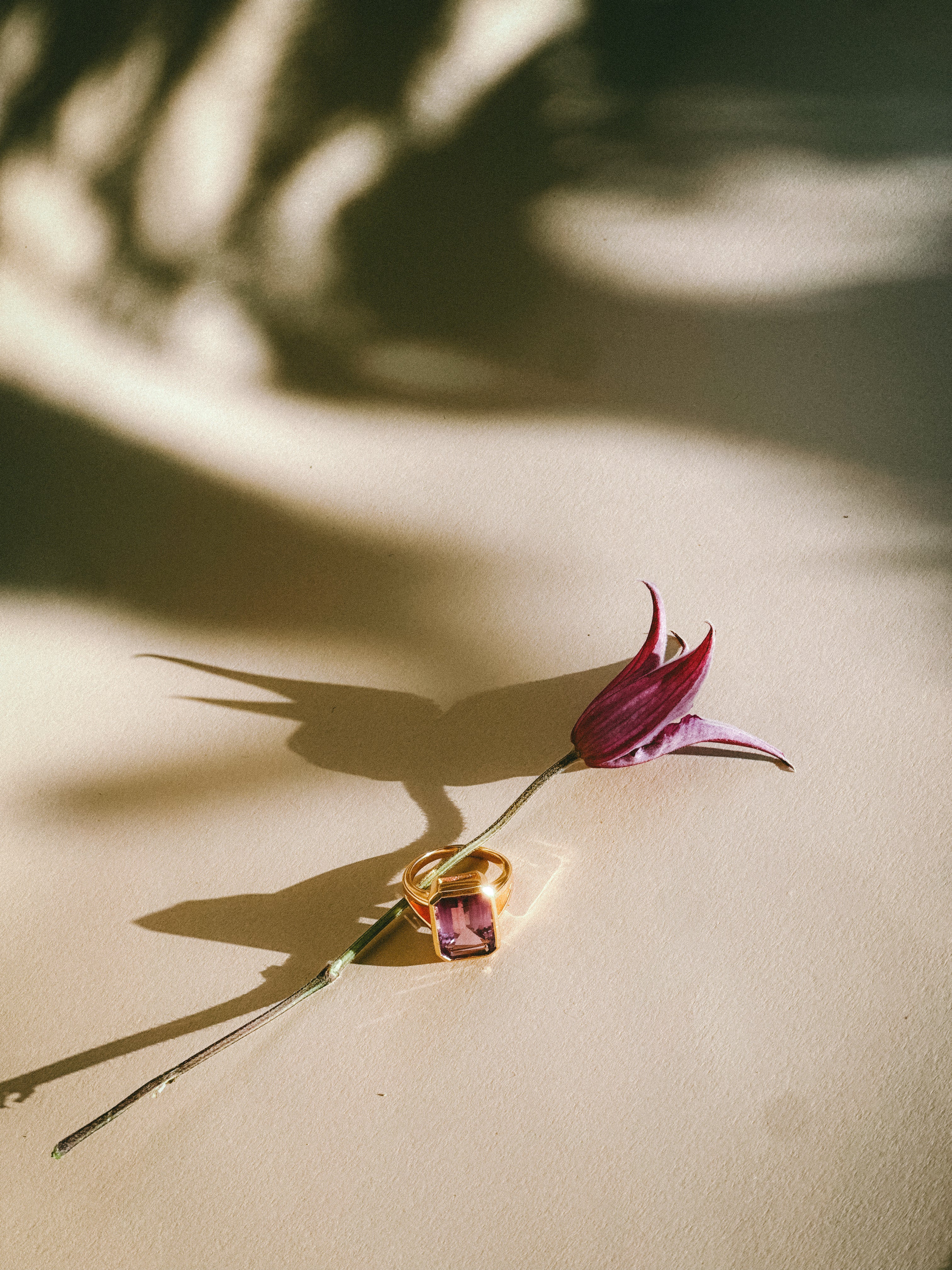 I am Grounded - Emerald cut Amethyst/Smokey Quartz 18K