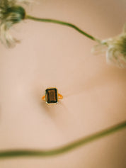 I am Grounded - Emerald cut Amethyst/Smokey Quartz 18K